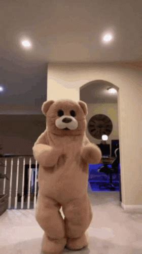 dancing bear sex gif